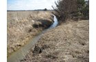 Property photo 24 - 127 Acres Offered in 4 Tracts